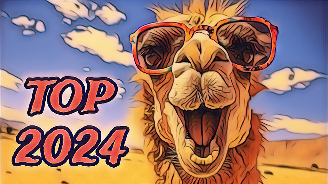 GAMELU | TOP 2024
