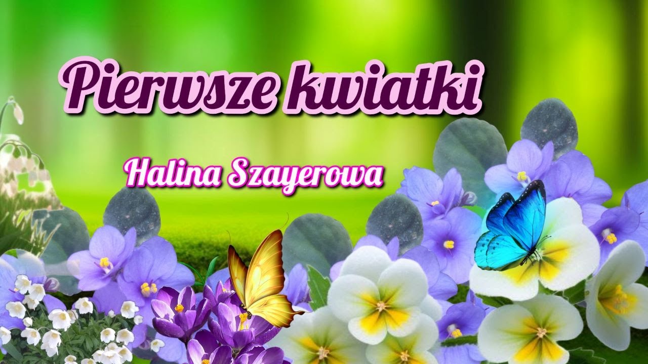 Pierwsze kwiatki wiosny na podstawie wiersza Haliny Szayerowej
