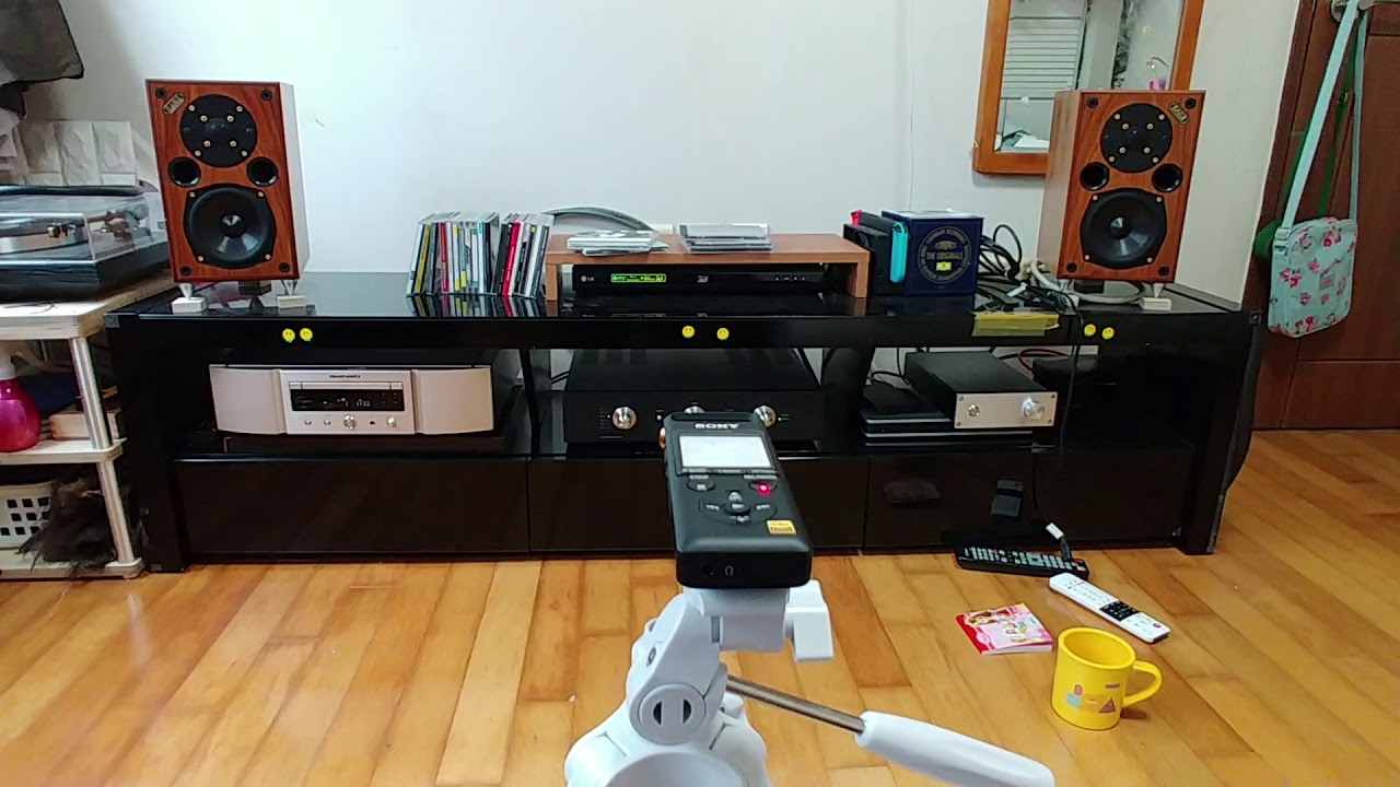 AE-1 #3 (sony pcm a10)