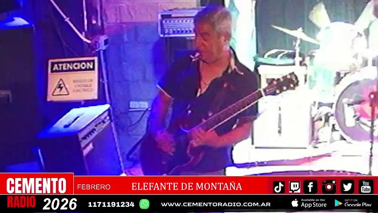 ELEFANTE DE MONTAÑA  - MUSEO CEMENTO 40 AÑOS - EN VIVO