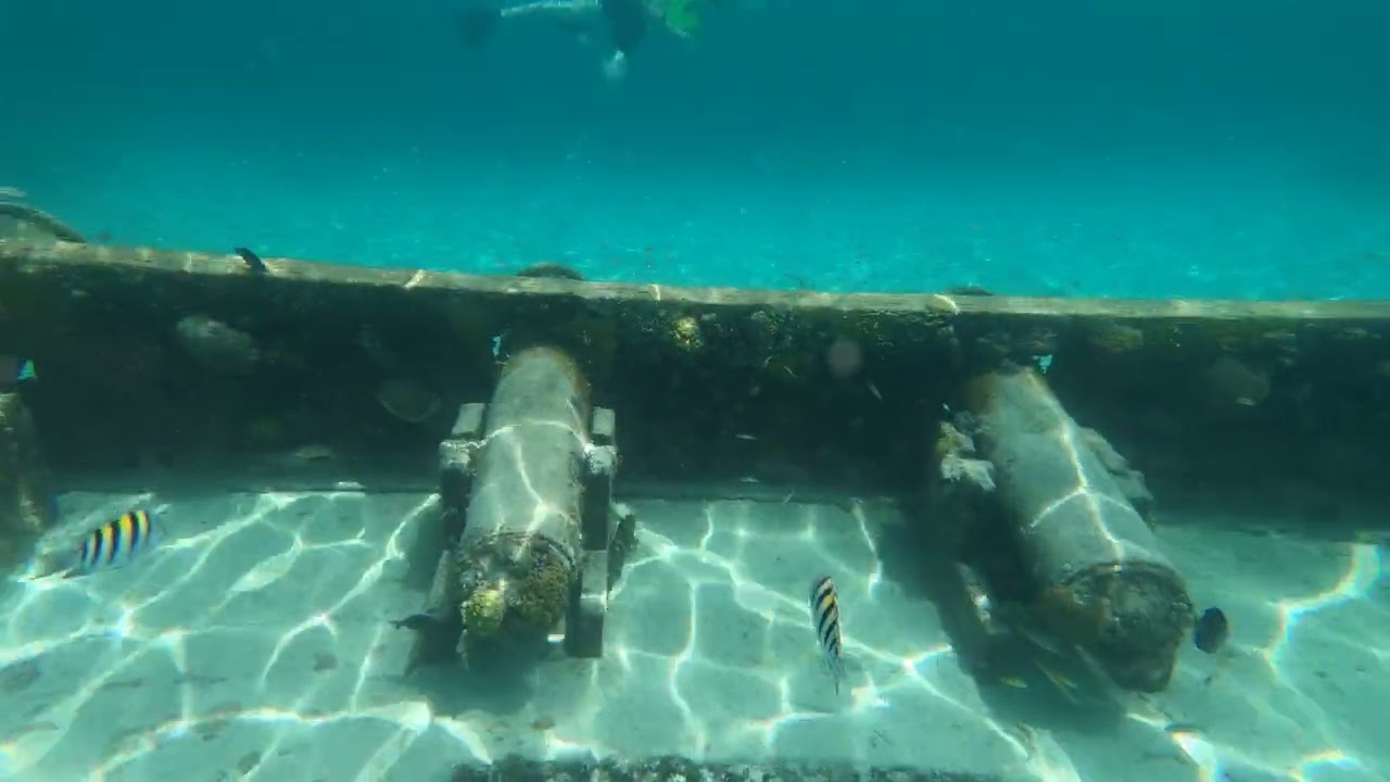 Snorkeling in Coco Cay. Side of Shipwreck.