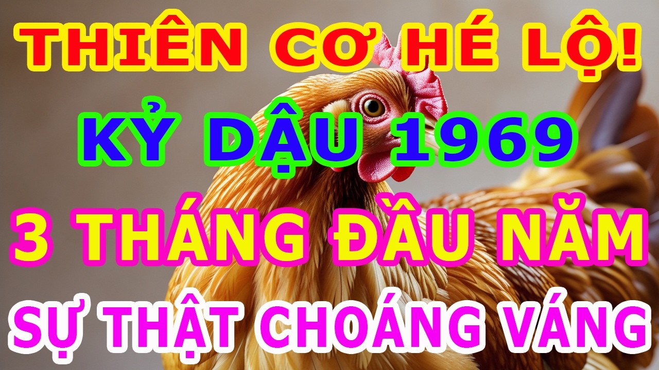 Kỷ Dậu 1969 Năm 2026: 58 Tuổi Âm 3 Tháng Đầu Năm: Tháng 2 Dễ Hao Tài – Tháng 3 Lấy Lại Tất Cả