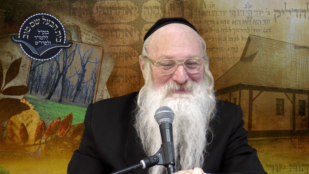 לידת אדמו