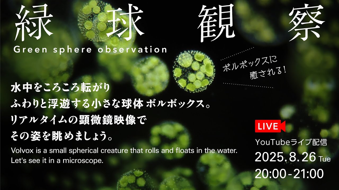 緑球観察  - Green sphere observation -