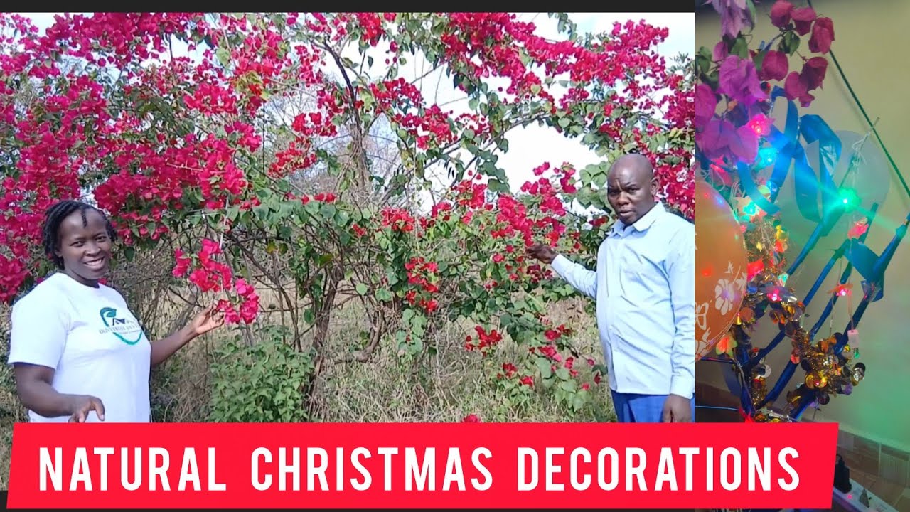 Natural forest decor for Christmas 💃💃//merry Christmas family 