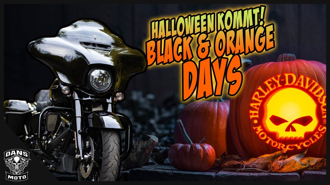 🎃🦇  Umbau Updates! Halloween Harley Open House Event Termin | Dans Moto | MotoVlog