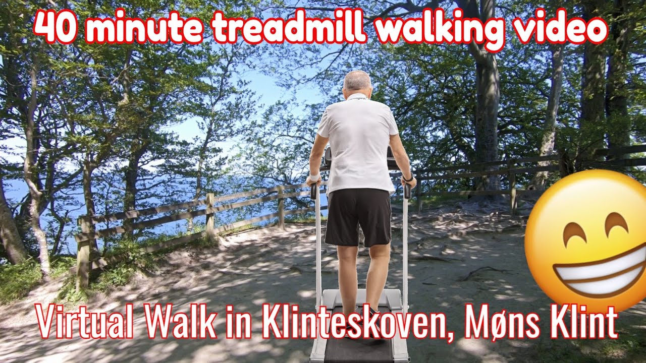 40 Minute Video For Treadmill Walking 👉 Møns Klint Klinteskoven 1