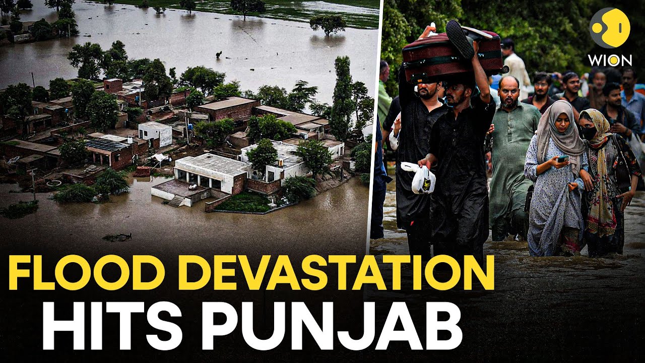 Punjab Floods: Worst in Nearly 40 Years, Death Toll at 43 & 1,900 Villages Affected | WION Originals
