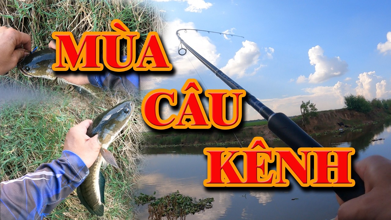 MÙA CÂU KÊNH | KÊNH ĐẸP NHIỀU CÁ | CẦN THỦ LONG AN