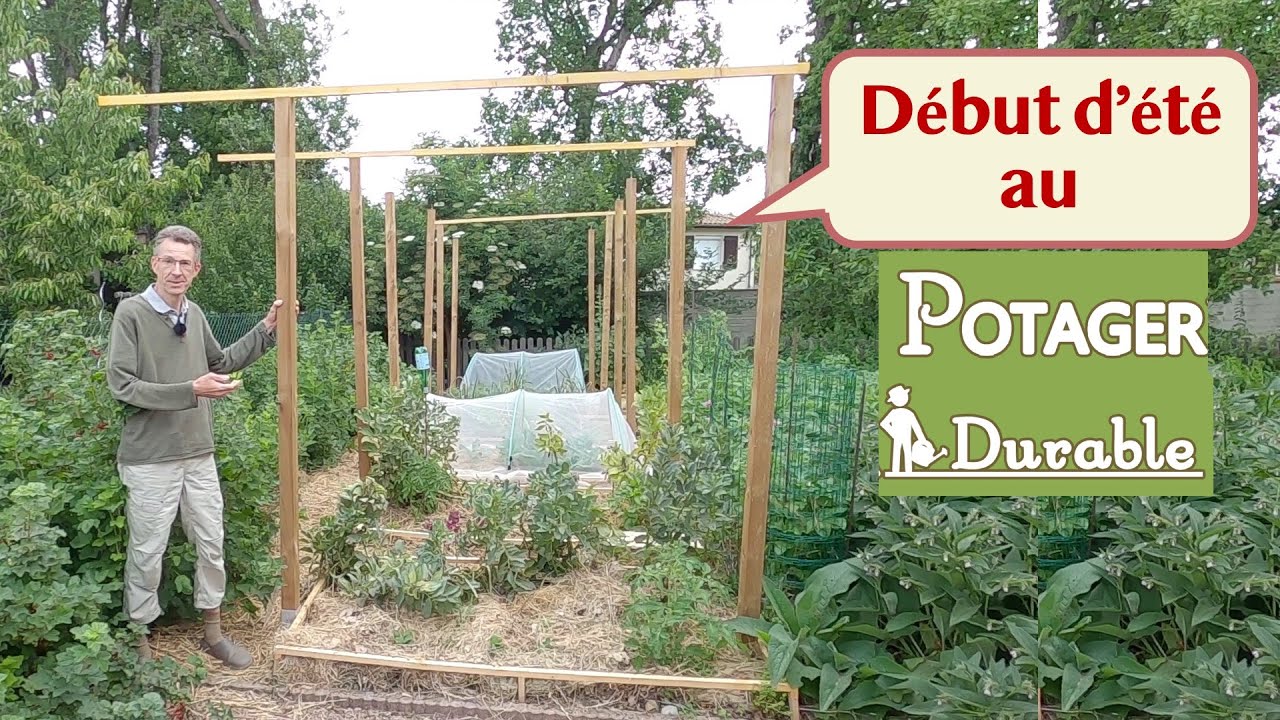 Début d'été au potager durable