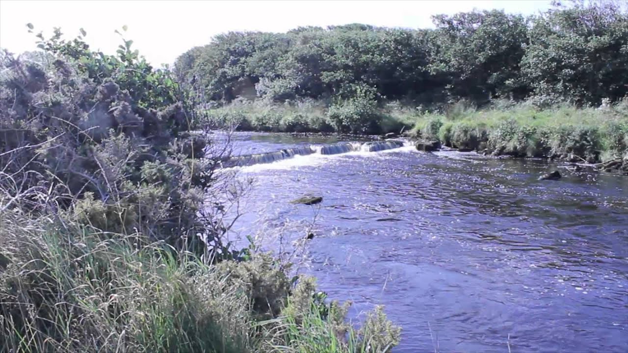 RIVER DUFF