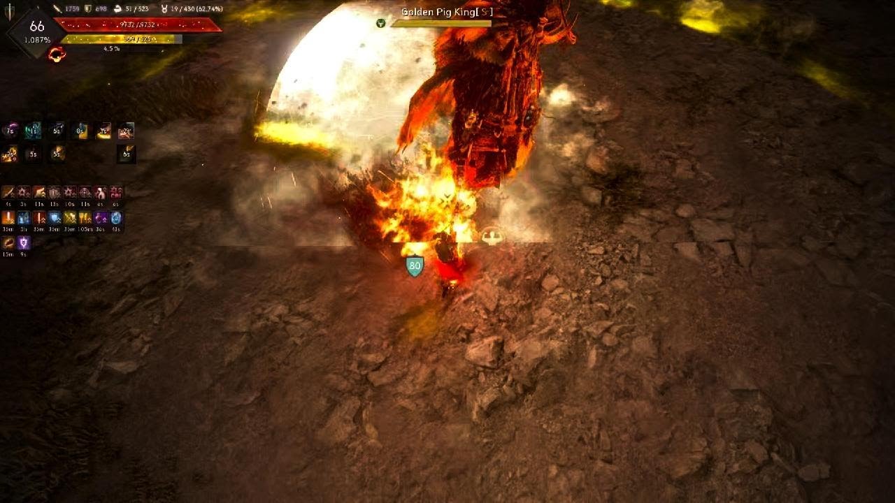 C10 Golden Pig King Awakening Musa