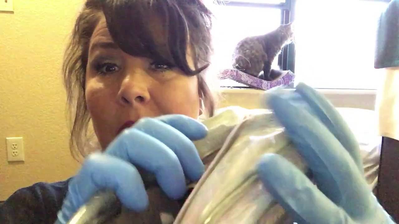 ASMR Makeup Gum Chewing w/Latex Gloves - Best Friend Does Your Makeup for Date