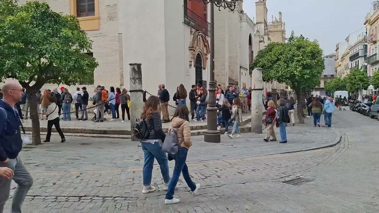 Incipiente floración del azahar de los naranjos de las calles de Sevilla.