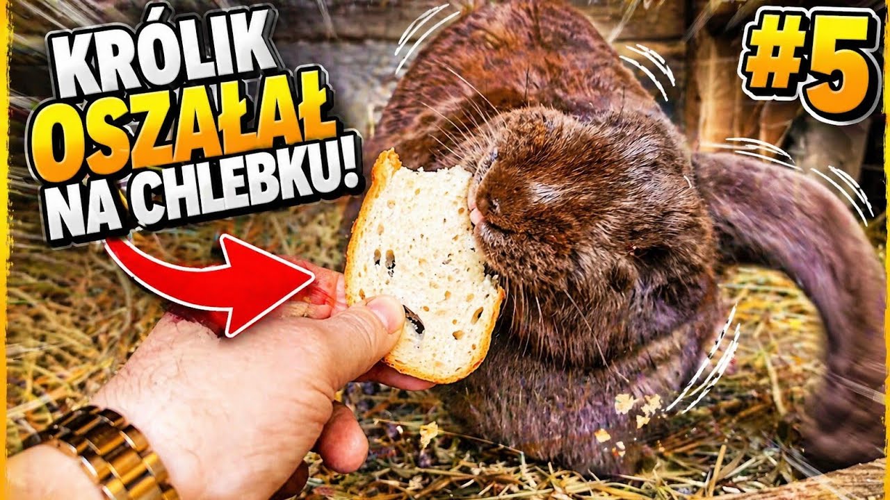 Tam, gdzie zaczyna się spokój odc.5. 19 maja 2025