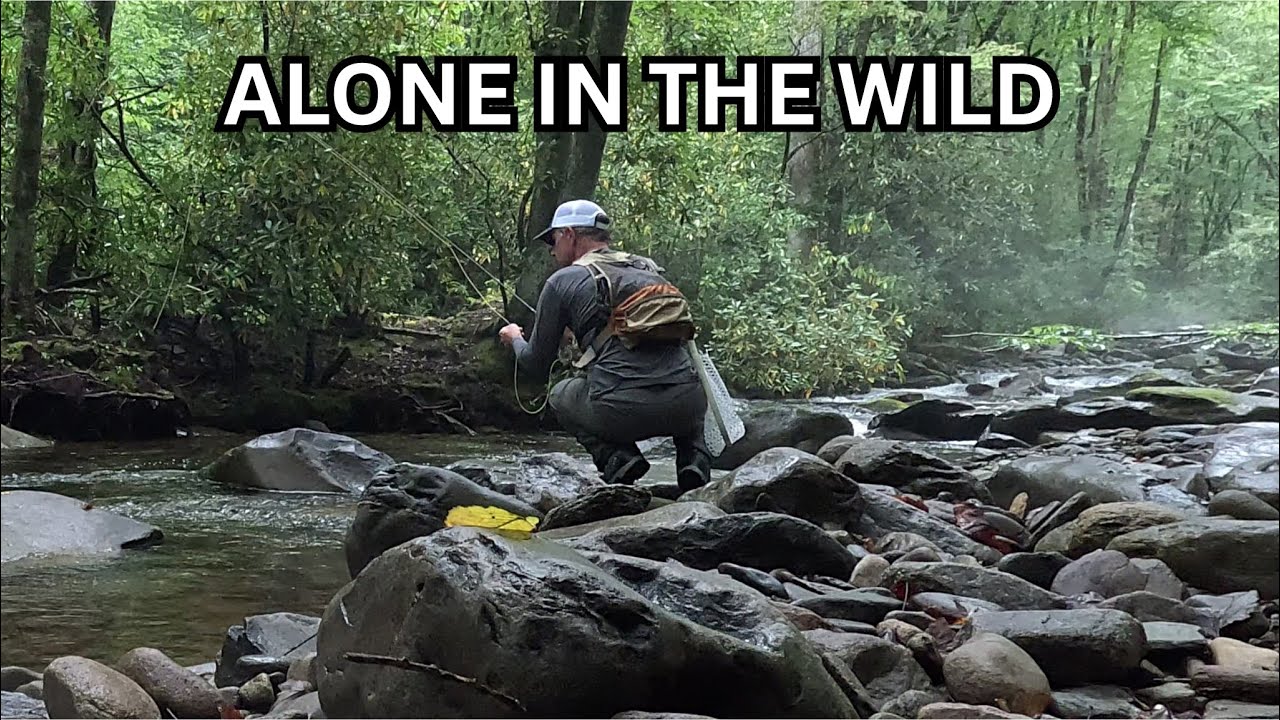 Solo Camping & Fly Fishing in the Smoky Mountains | Wild Trout
