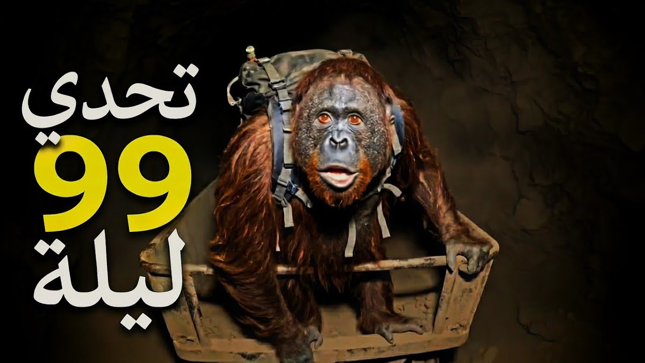 تحدي ال99 ليلة مع القرداني | الحلقة الكاملة