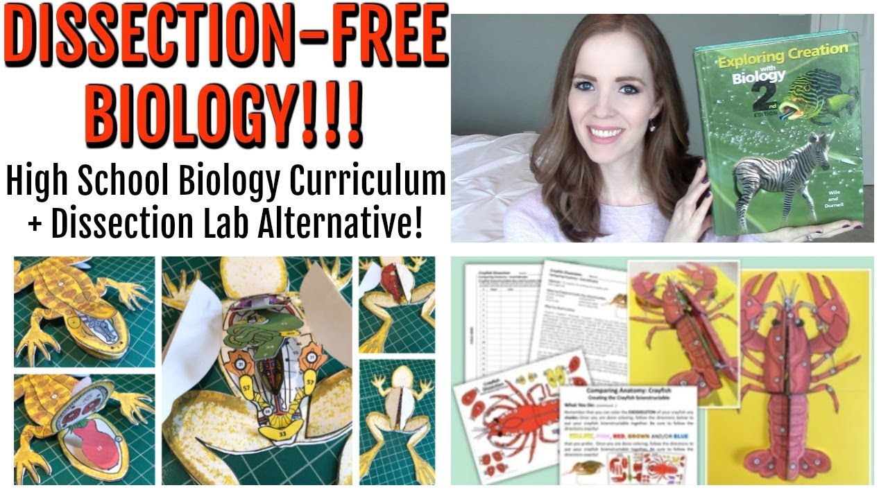 HOMESCHOOL BIOLOGY WITHOUT DISSECTIONS!! | HOMESCHOOL HIGH SCHOOL | HOMESCHOOL SCIENCE CURRICULUM