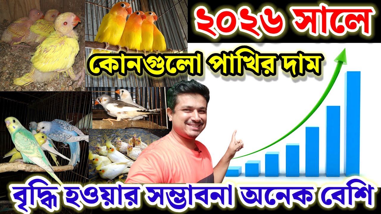 ২০২৬ সালে কোনগুলো পাখির দাম বৃদ্ধি হওয়ার সম্ভাবনা অনেক বেশি || পাখির দাম ২০২৬ || Birds of village