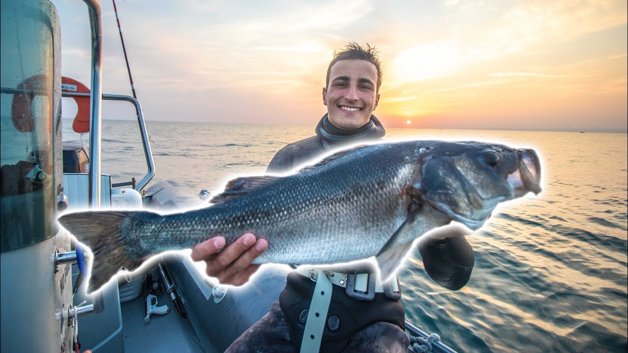 Pêche de Gros Bars en Chasse Sous-Marine ! (Pêcher/Cuisiner/Manger)
