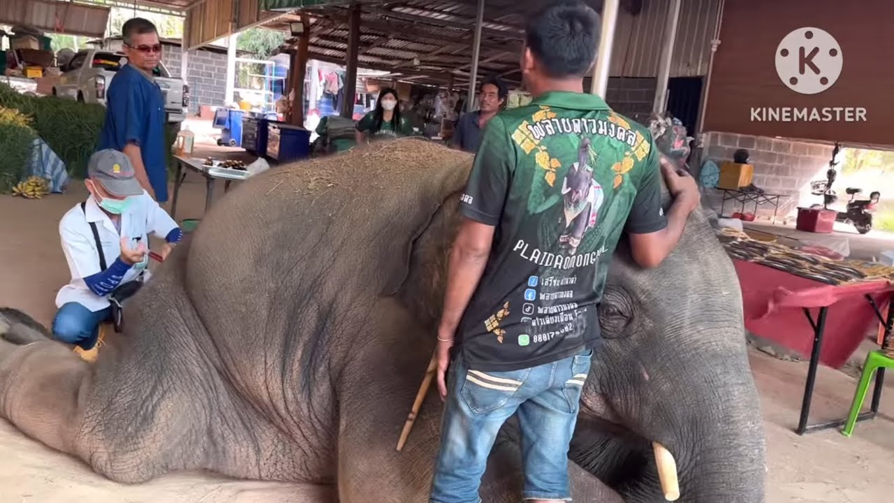 มีอะไรเกิดขึ้นกับดาว….ทำไมนิ่งขนาดนี้