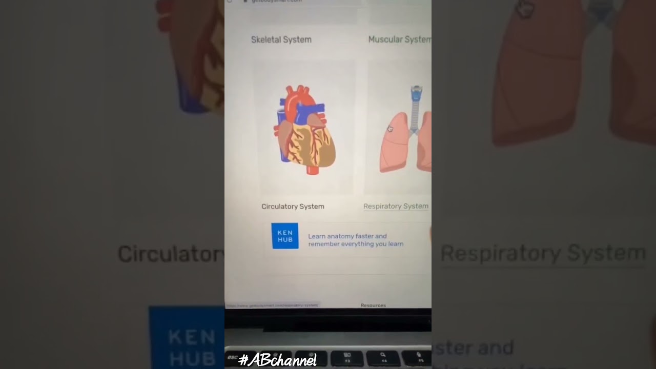 free anatomy apps