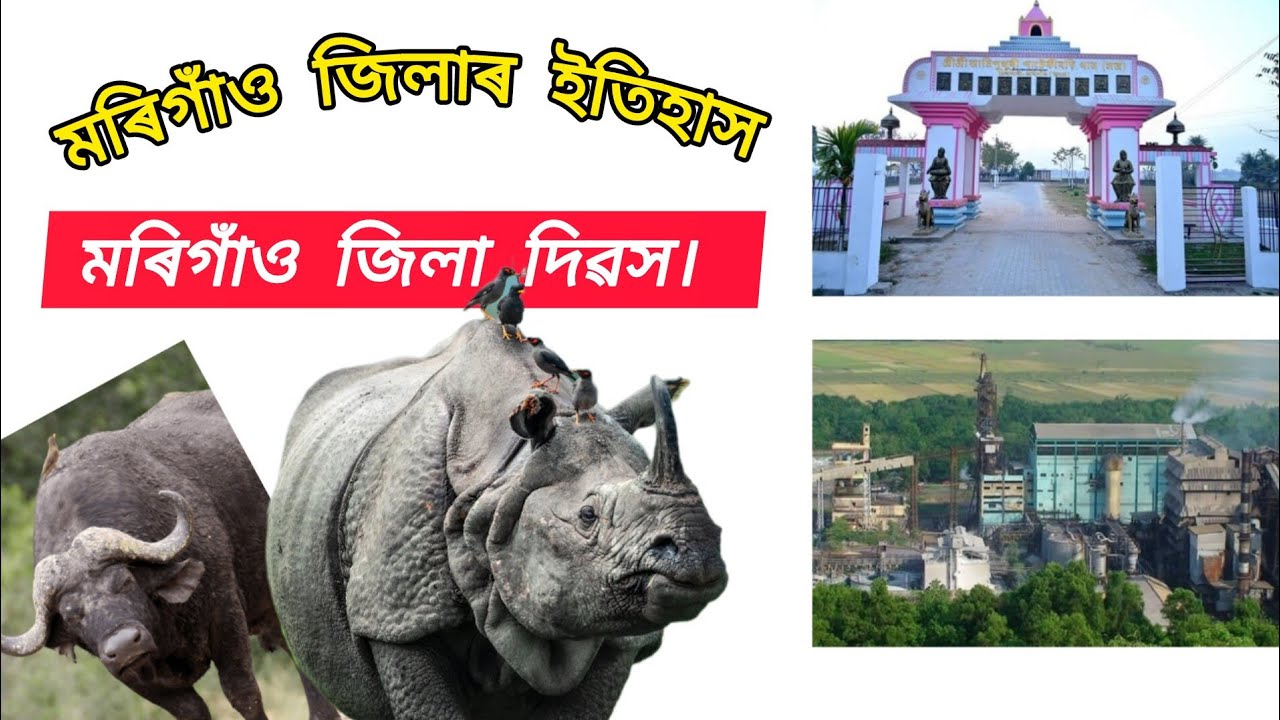 মৰিগাঁও জিলা দিৱস।। ১৪ অক্টোবৰ ১৯৮৯ চনত স্বীকৃতি লাভ কৰে জিলাৰূপে ।। History of Morigaon district.