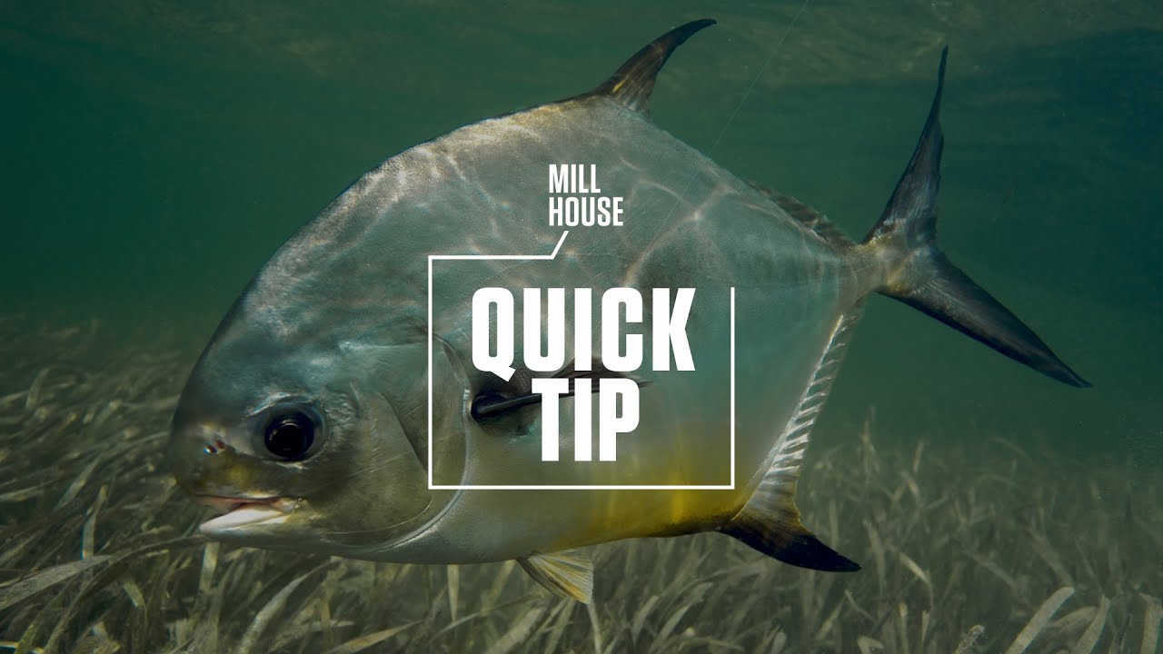 Quick Tip - Permit on Fly | Mill House Podcast