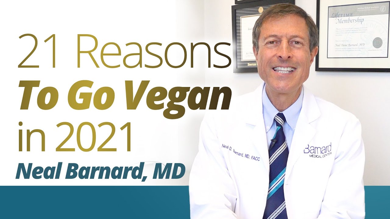21 Reason To Go Vegan in 2021