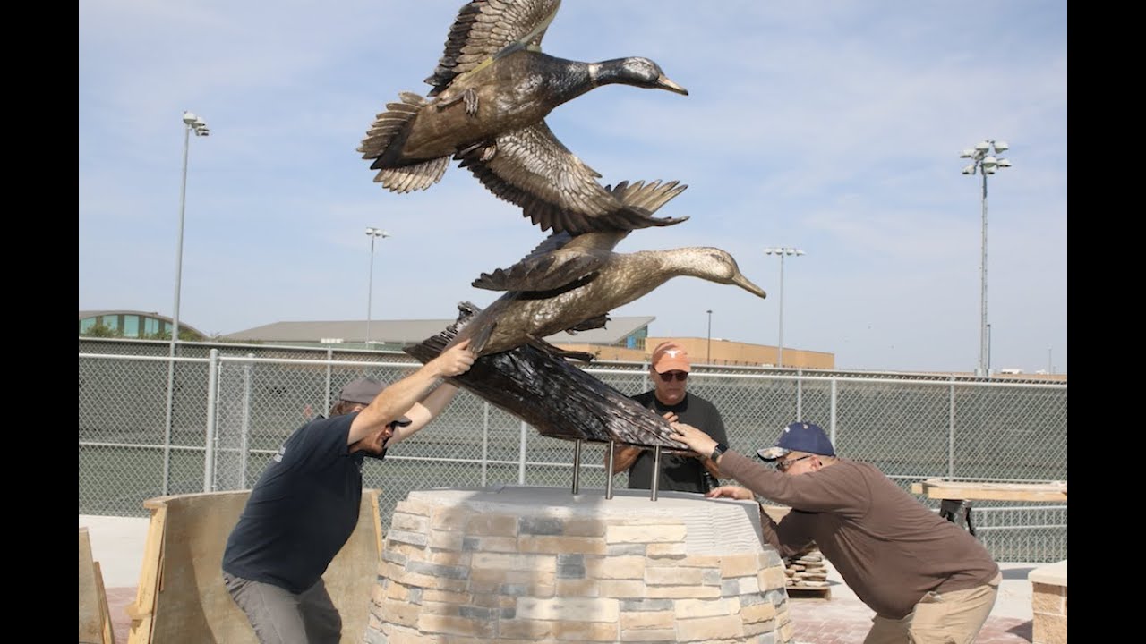 Ducks Paving the Way