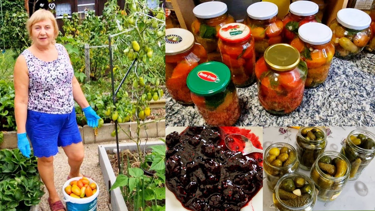 Работы полно..и маринуем..и квасим ..и варенье варим.