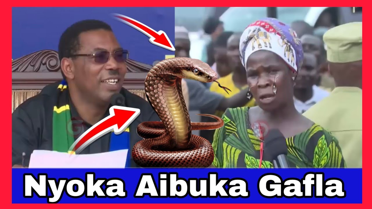Mkutano wa Waziri Mkuu Mwigulu Nchemba wakatika Nyoka akitokea gafla,Wananchi Wapatwa na Taharuki
