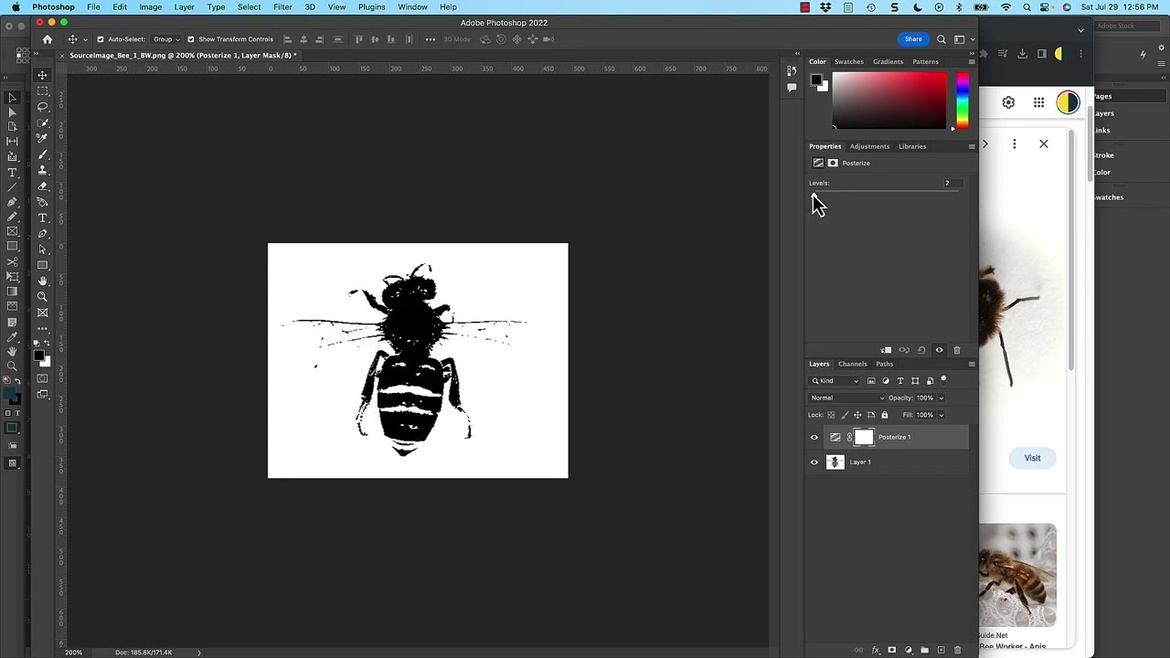 Graphic Translation Part 1 Software Tutorial