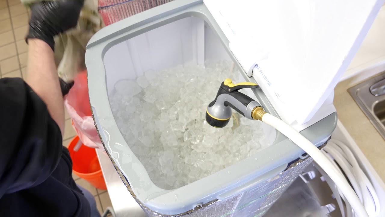 Fresh Frozen Whole Plant Live Freeze Dried Rosin