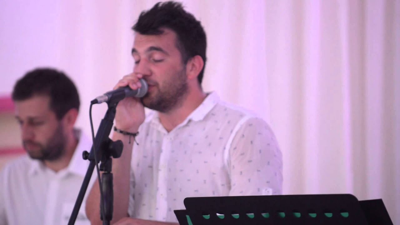 grupa Brig - Dok je tebe, Stari lav