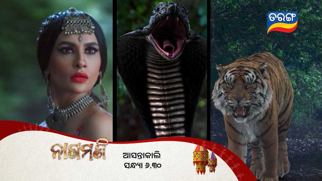 ନାଗମଣି | Nagamani | Episodic Promo 265 | 13TH Mar 2026  | Mon - Sat @6.30PM  Tarang Tv
