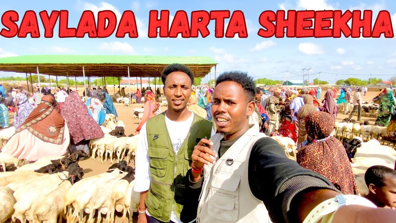 SAYLADA UGU WAYN DAWLAD DEEGAANKA SOOMAALIDA || HARTA SHEEKHA 