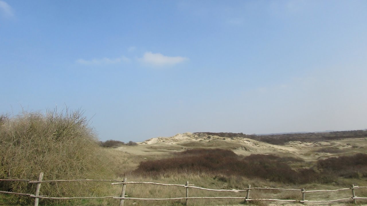 De Zwinduinen en  -polders rondom het Zwin Natuur Park van Knokke-Heist