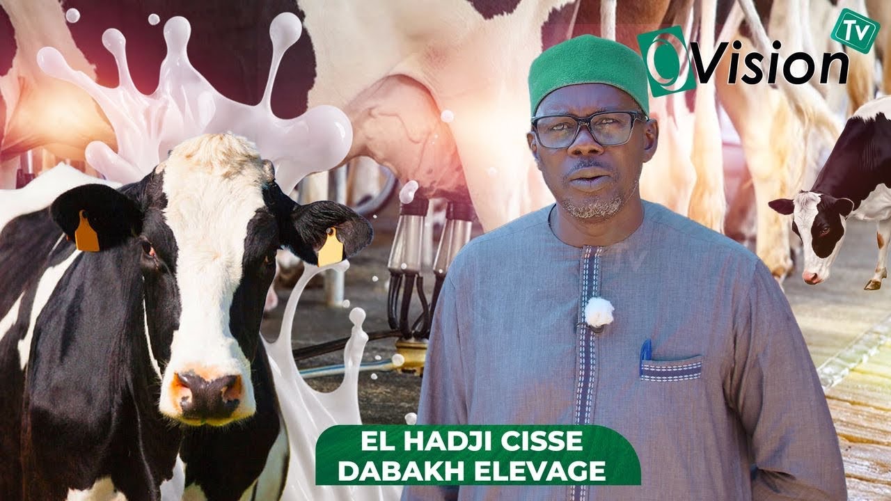 ANIPL TOUR EP3: À LA FERME DABAKH DE EL HADJI CISSE ( A BOKHOU)