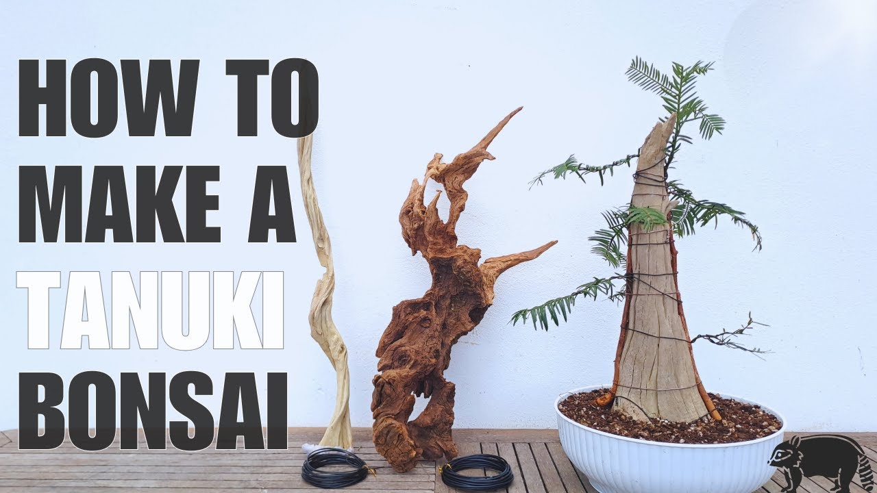 How to Make a Tanuki - step by step