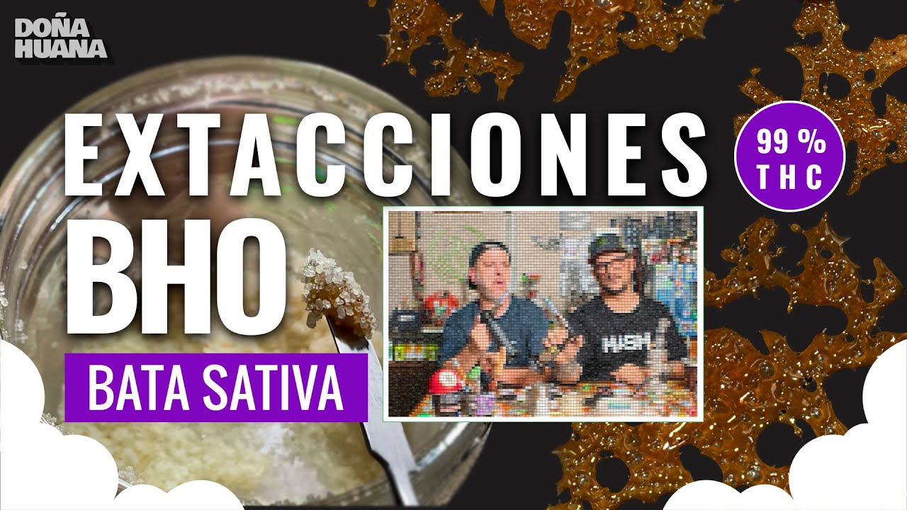 99% THC  -  COMO SE HACEN LOS CRISTALES DE THC Y EL BHO - BATA SATIVA