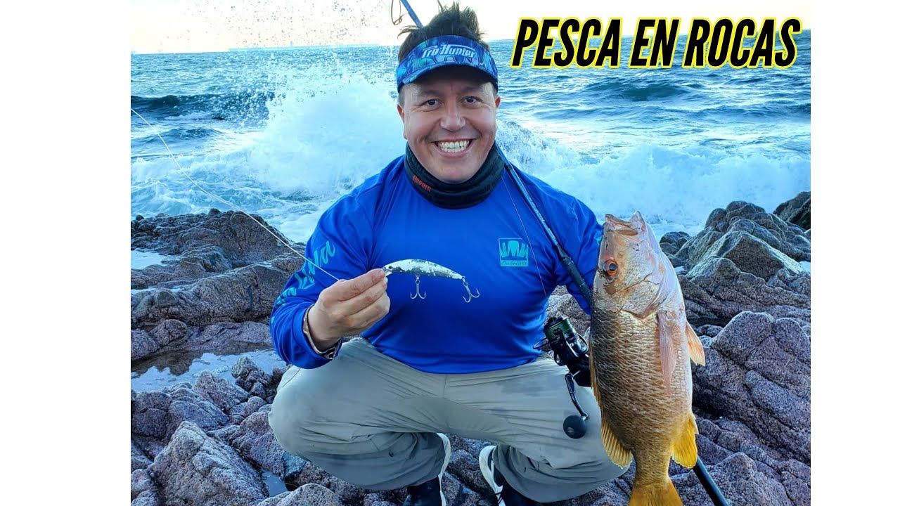 PESCA en ROCAS en Sonora, México