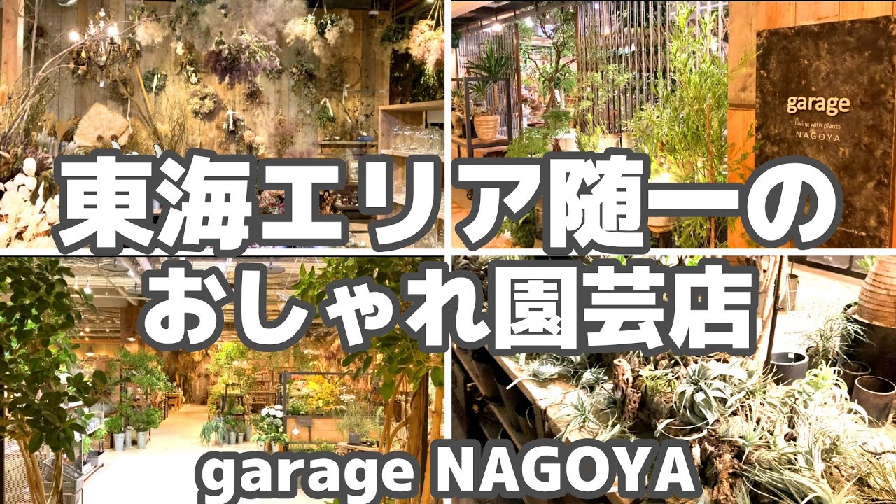 【観葉植物インテリア】名古屋のおしゃれ園芸店といえばここ【garage NAGOYA】