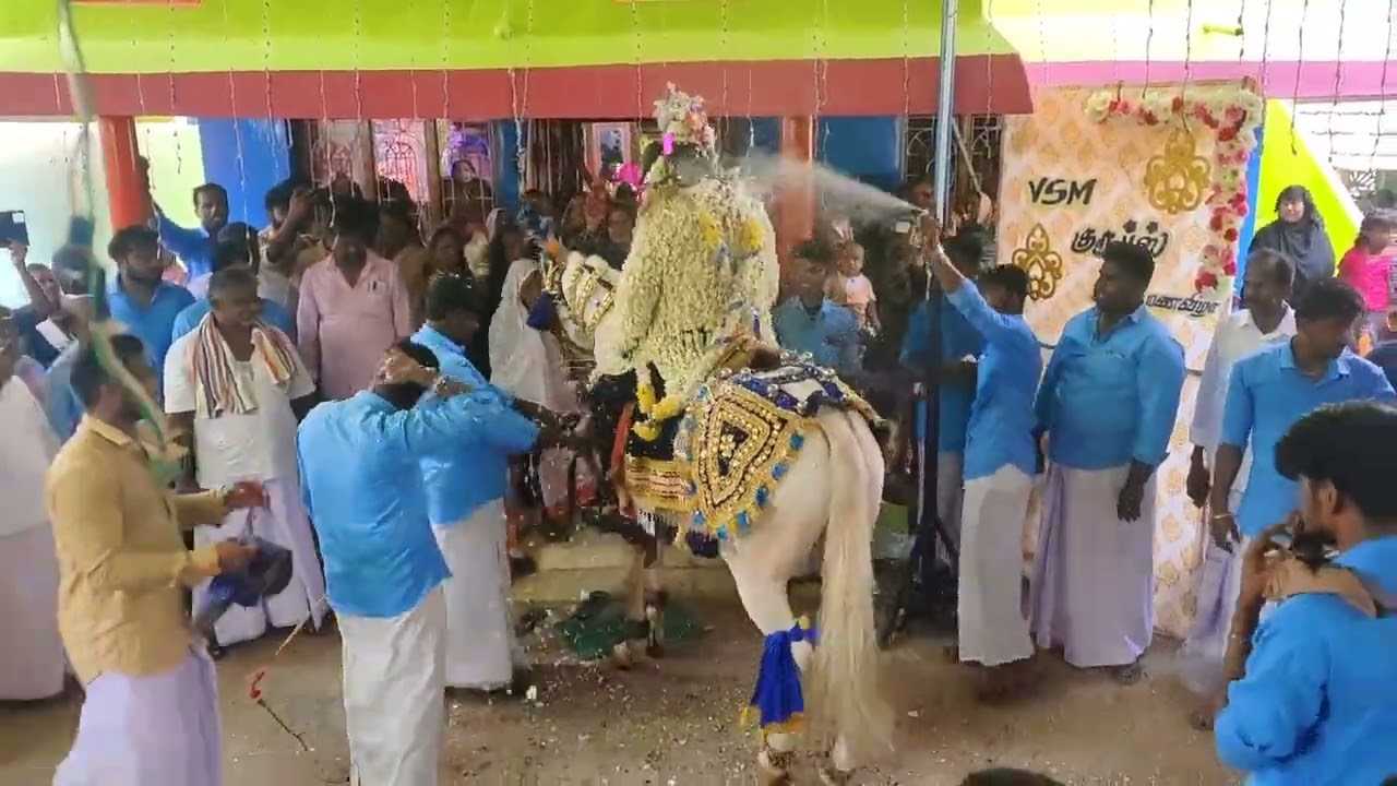 HORSE DANCE TAMILNADU 🐎😚🥁🎷🎶🎹(5)