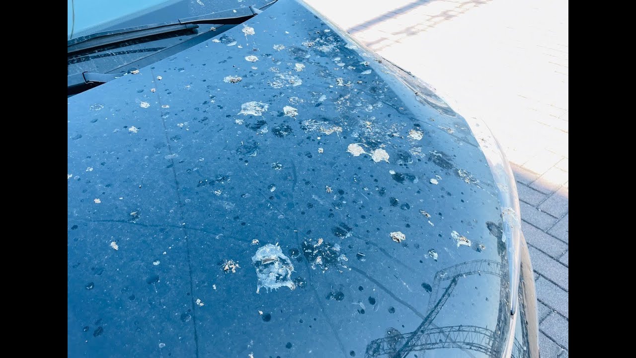 Guano sulla carrozzeria?