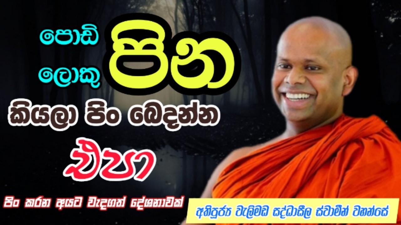 පින පොඩි ලොකු කියලා බෙදන්න එපා | Welimada Saddaseela Thero | වැලිමඩ සද්ධාසීල ස්වාමීන් වහන්සේ
