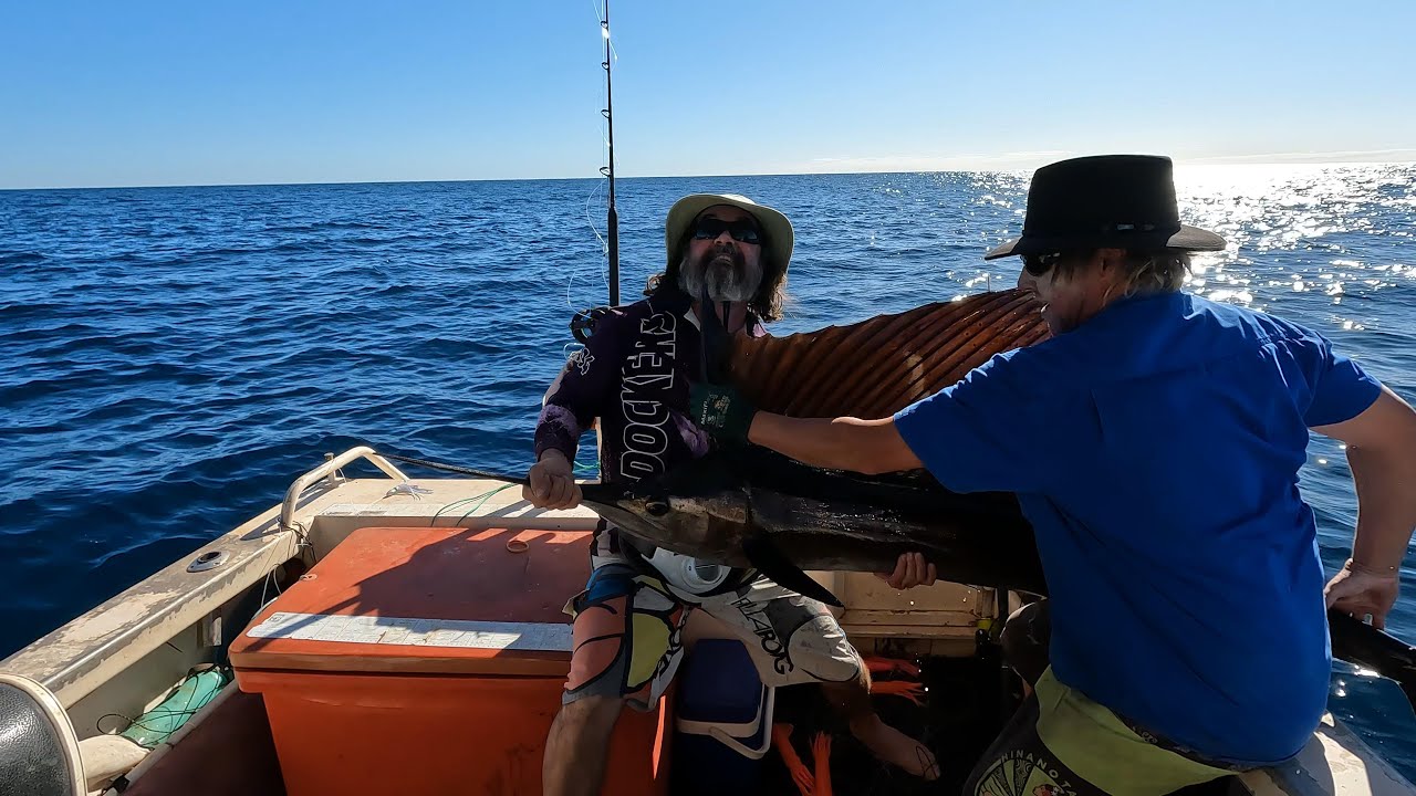 Welcome Back! Ningaloo Sailfish no2