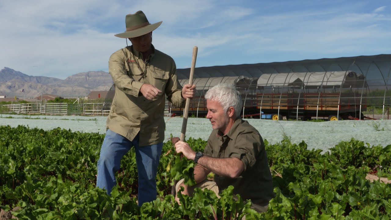 Farming, Family & Feathered Friends at Gilcrease Orchard & Sanctuary | Outdoor Nevada