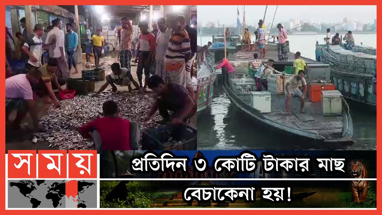 হাওড়ের মিঠাপানির মাছের সবচেয়ে বড় বাজার কিশোরগঞ্জে | Fish Market | Kishorganj Fish | Somoy TV