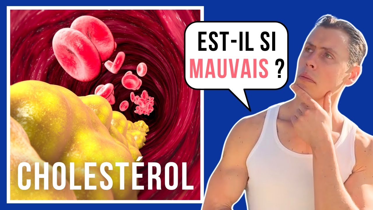 Tout savoir sur le cholestérol